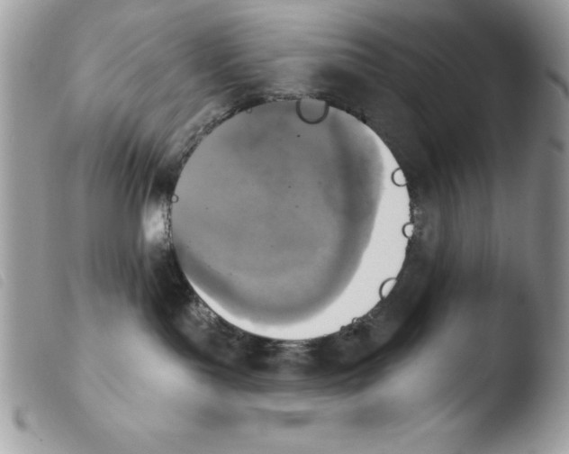 X0000103950143200810171847