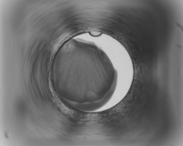 X0000103950145200810171846