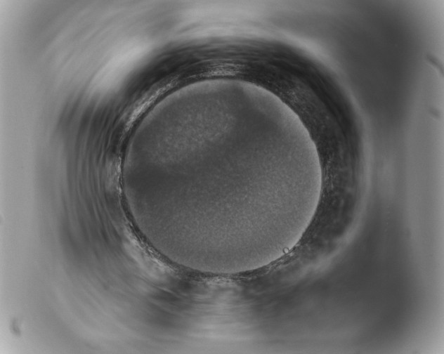 X0000103950146200810171846