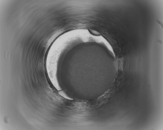 X0000103950147200810171846