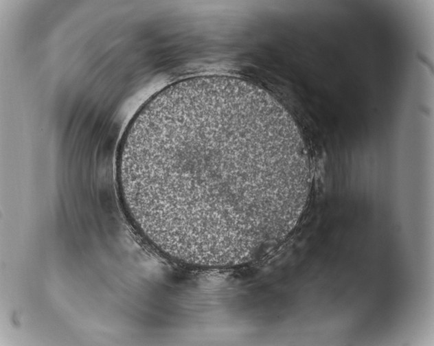 X0000103950148200810171847