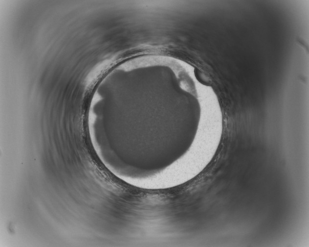 X0000103950149200810171847