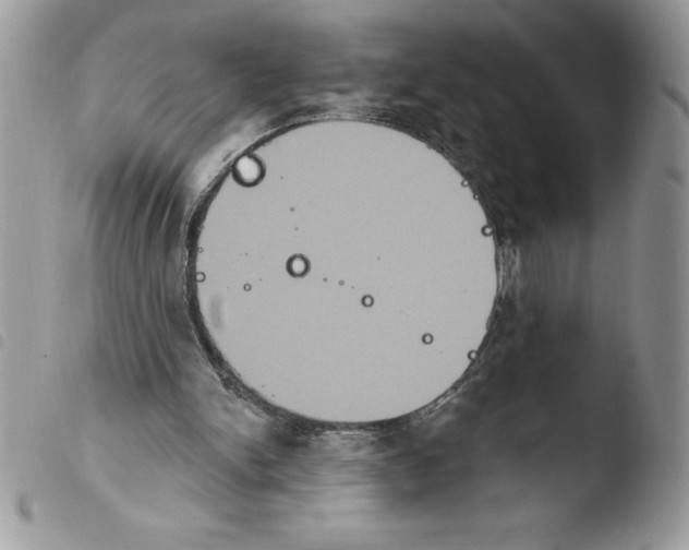 X0000103950150200810171847