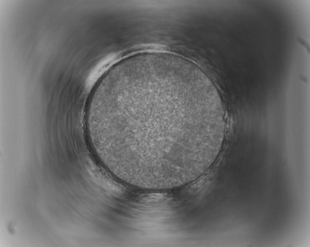 X0000103950151200810171847