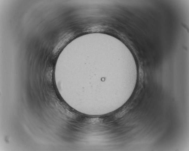 X0000103950153200810171847