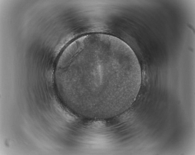 X0000103950156200810171847