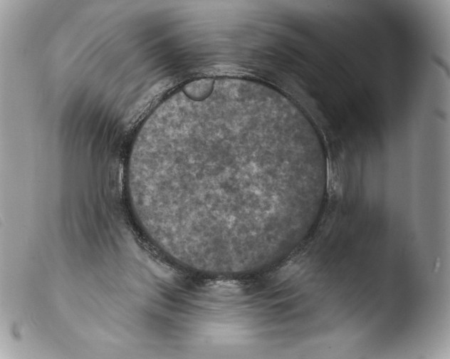 X0000103950157200810171847