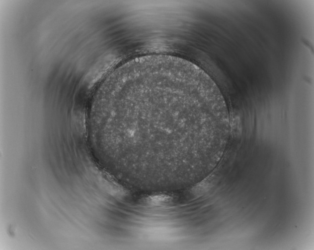 X0000103950158200810171847