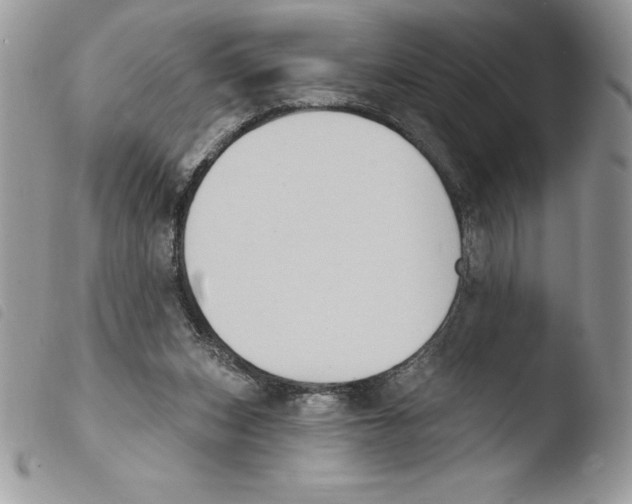 X0000103950159200810171847