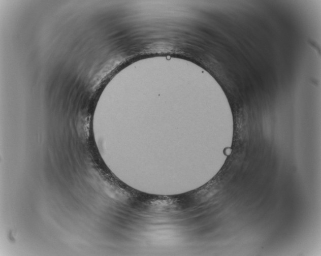 X0000103950160200810171847