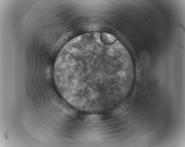 X0000103950161200810171847