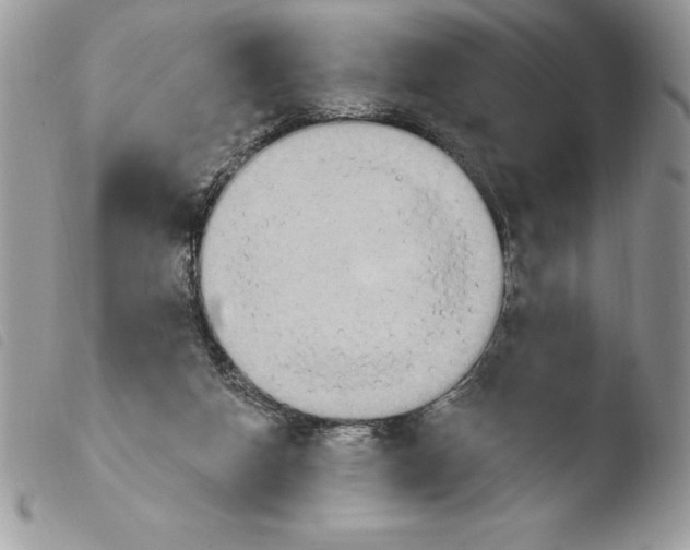 X0000103950162200810171847