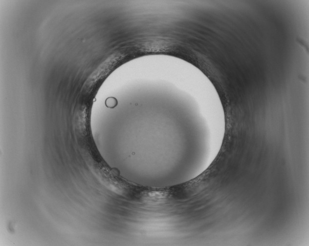 X0000103950163200810171847