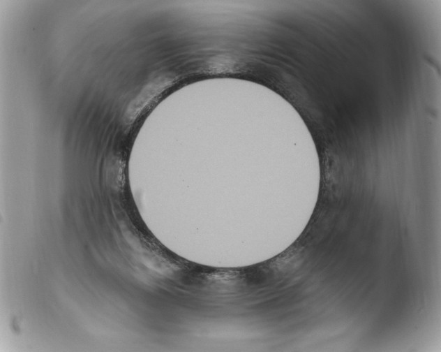 X0000103950164200810171847