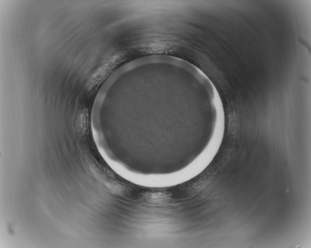 X0000103950165200810171847