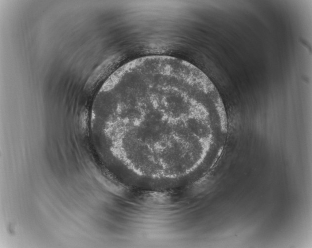 X0000103950166200810171847