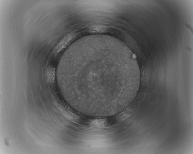 X0000103950168200810171847