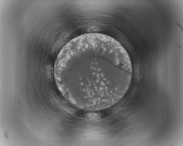 X0000103950169200810171847