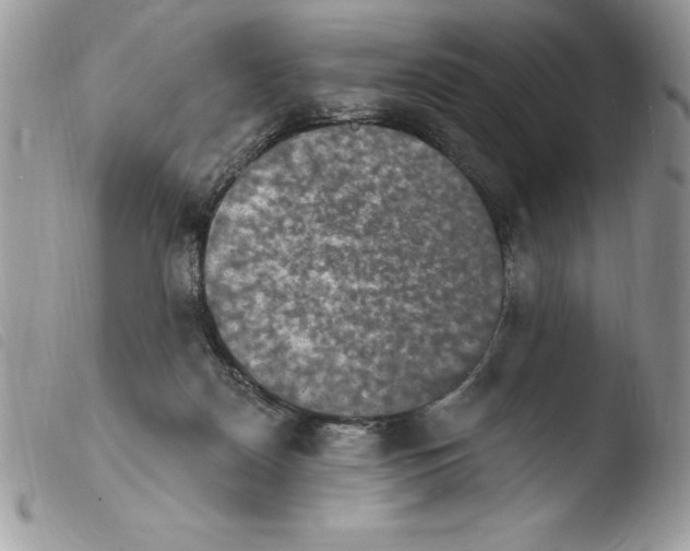 X0000103950170200810171847