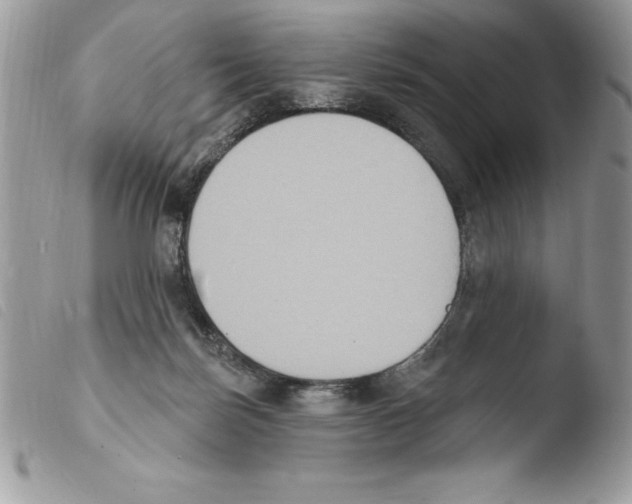 X0000103950171200810171847
