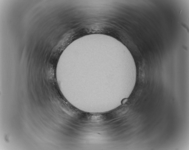 X0000103950173200810171847