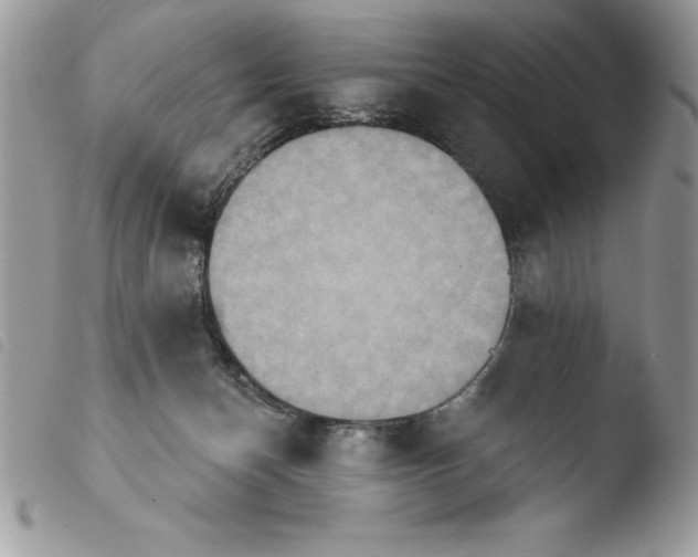 X0000103950174200810171847