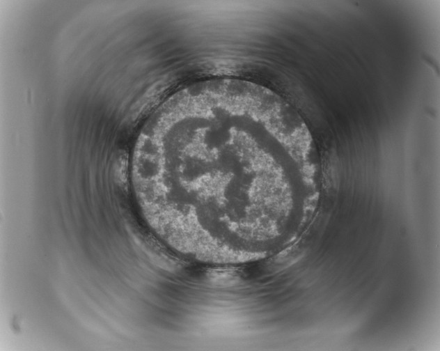 X0000103950175200810171847