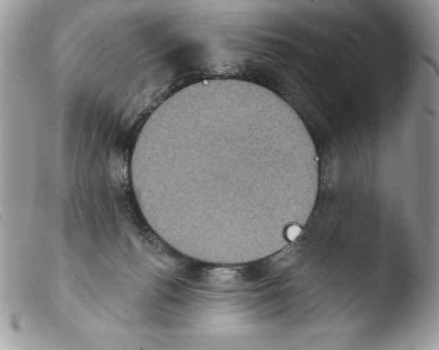 X0000103950176200810171847