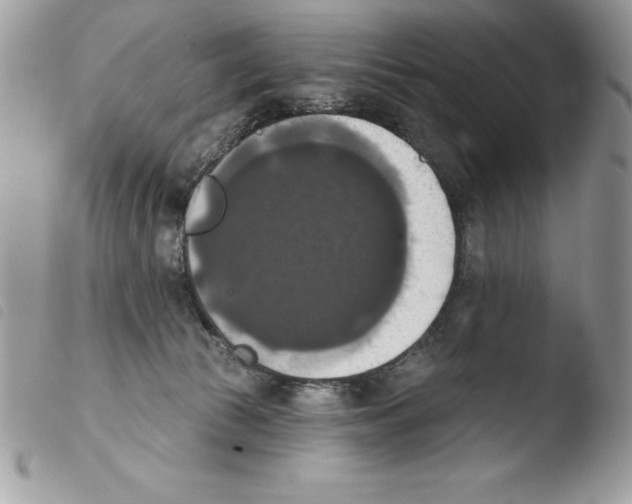 X0000103950177200810171847
