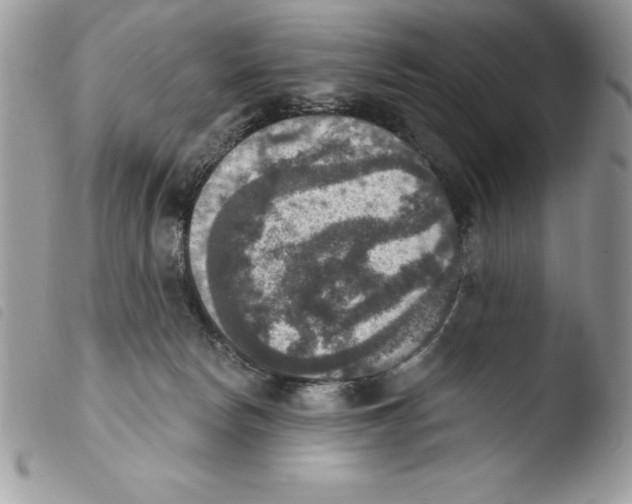 X0000103950178200810171847