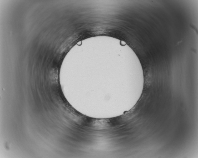 X0000103950179200810171847
