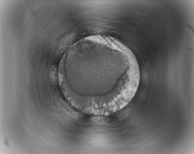 X0000103950181200810171847