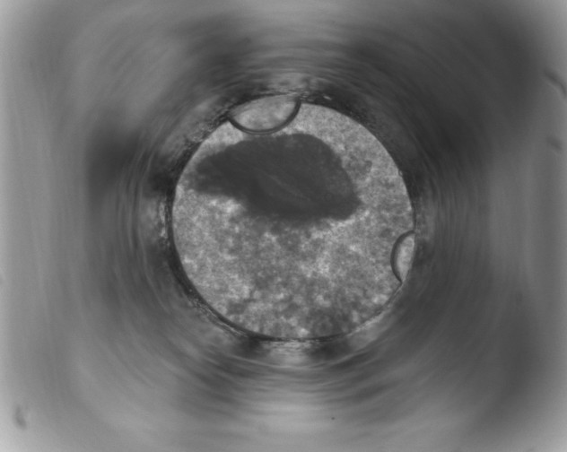 X0000103950182200810171847