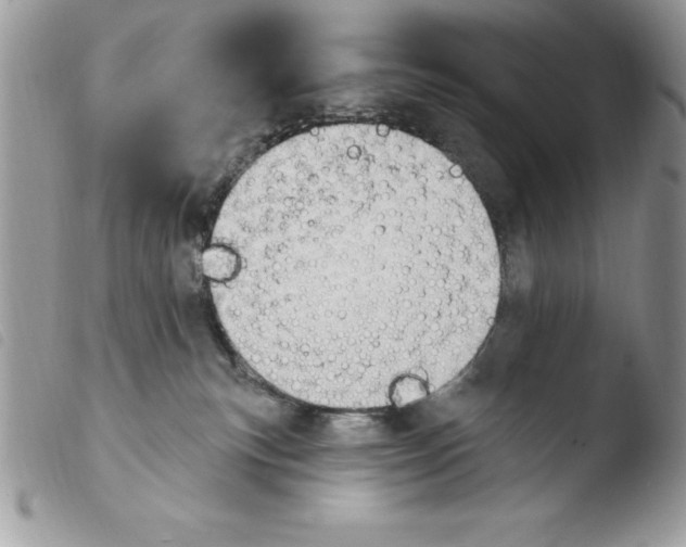 X0000103950183200810171847
