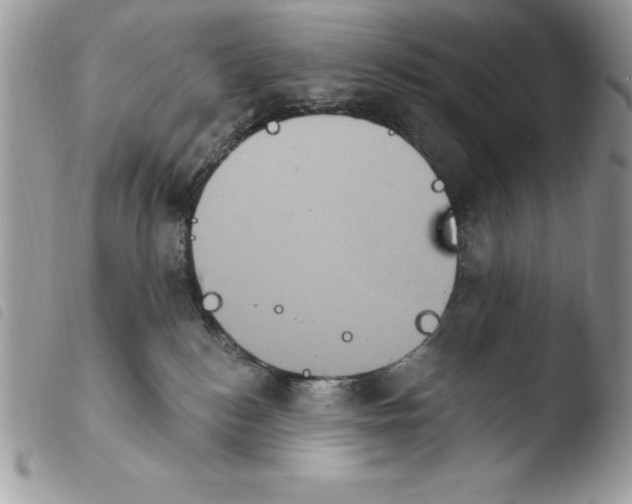 X0000103950184200810171847
