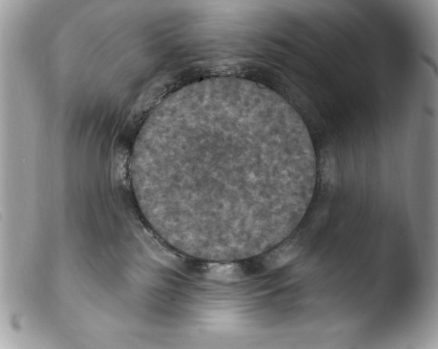 X0000103950185200810171847