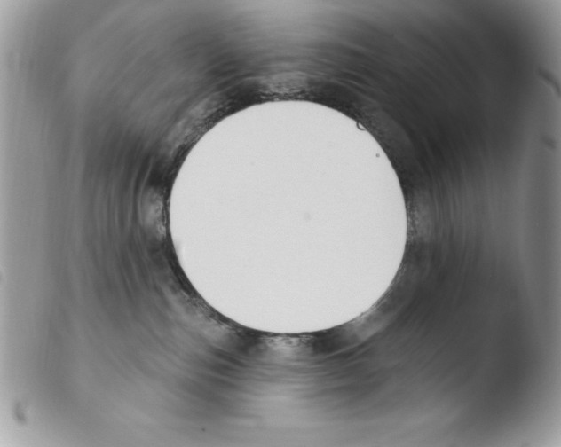 X0000103950187200810171847