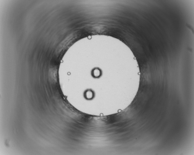 X0000103950188200810171847