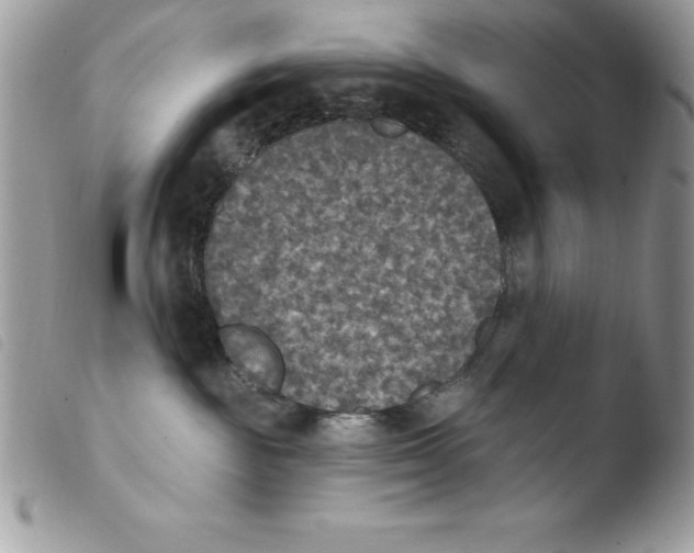 X0000103950189200810171847