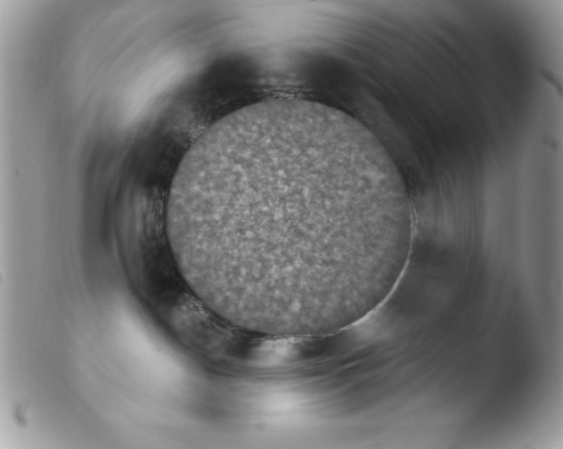 X0000103950190200810171847
