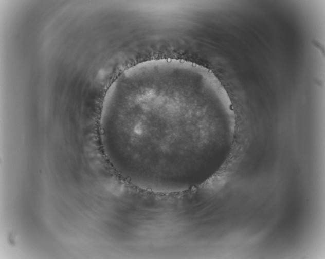 X0000103950192200810171847
