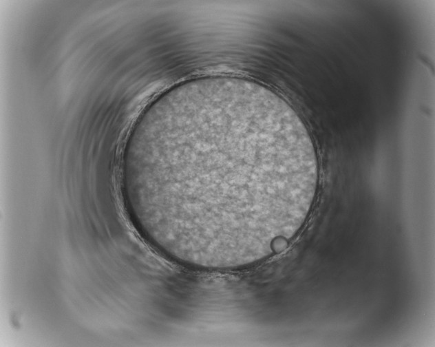 X0000103950193200810171846