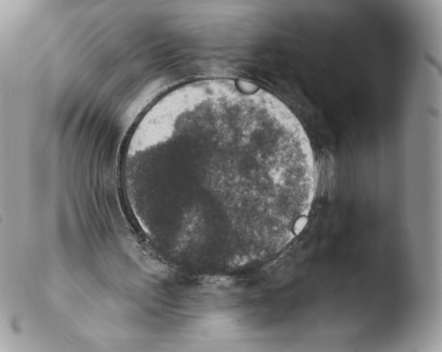 X0000103950195200810171846