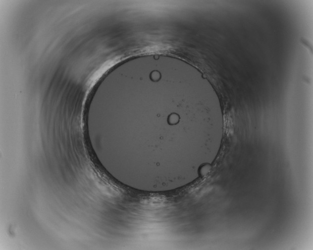 X0000103950196200810171846