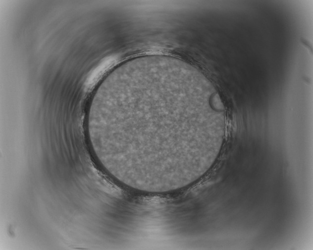 X0000103950197200810171846