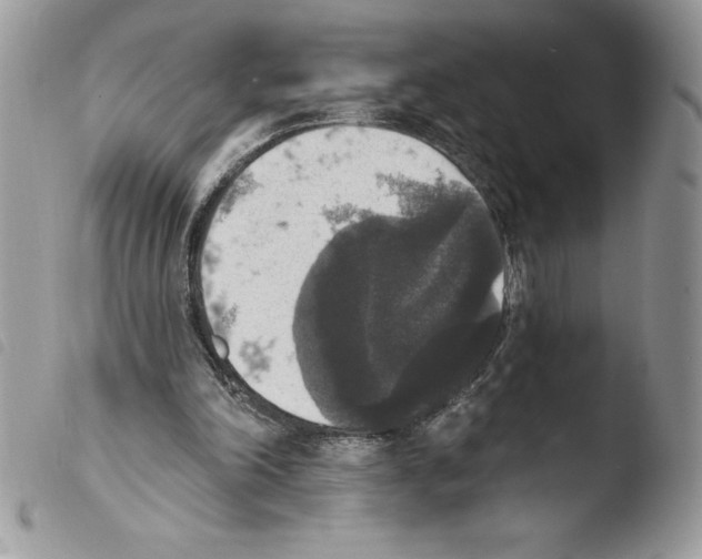 X0000103950198200810171846