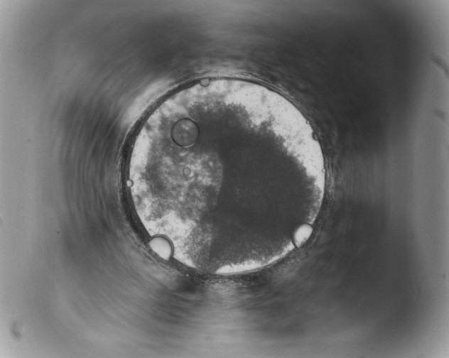 X0000103950199200810171846