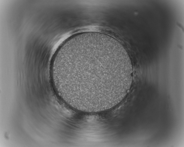 X0000103950200200810171846