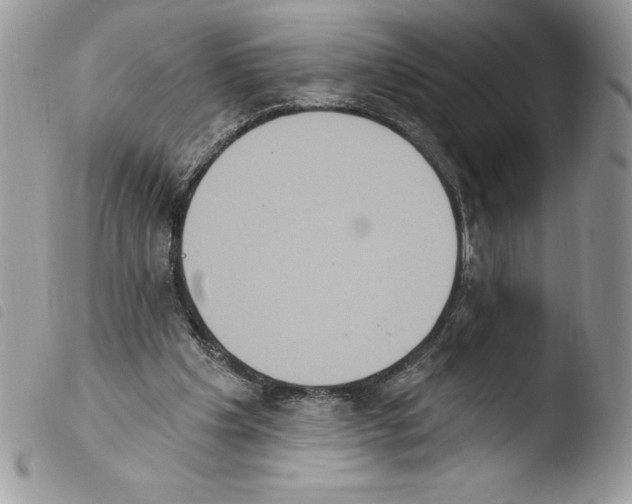 X0000103950201200810171846