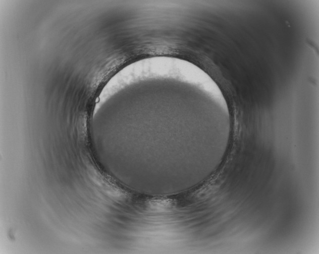 X0000103950202200810171846